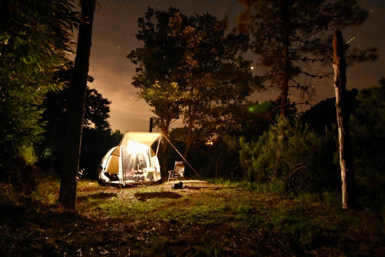 Agriturismo Ca Du Chittu Карро Экстерьер фото